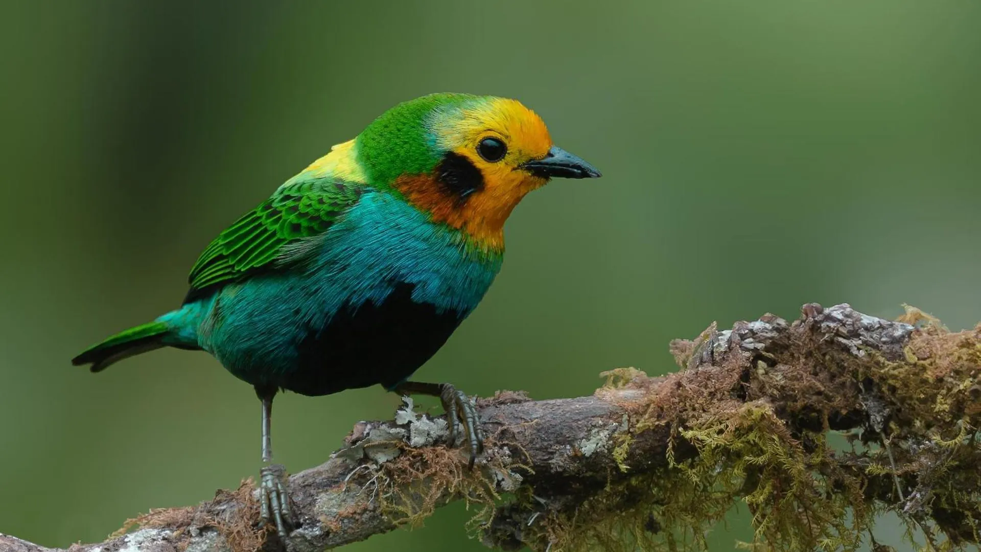 Lodge San Felipe Lodge. Birding And Wellness Cali